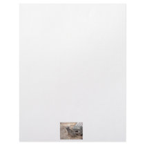 Meerkat photograph against log and sand custom letterhead