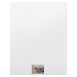 Meerkat photograph against log and sand custom letterhead
