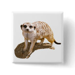 Meerkat Picture Buttons