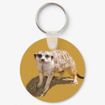Meerkat Picture keychains