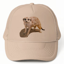 Meerkat Picture Trucker Hat hats