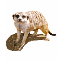 Meerkat Picture t-shirts