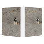 Meerkat popping out photograph binders