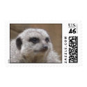 meerkat postage