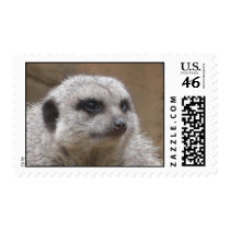 meerkat postage by Sams_Designs meerkat postage