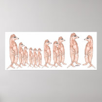 Meerkat Posters & Prints