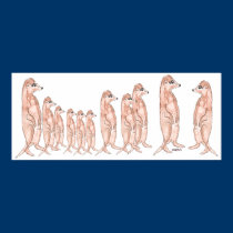 Meerkat Posters & Prints posters