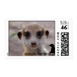 Meerkat Pup Postage postage