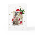Meerkat Santa CARD