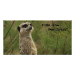Meerkat says Hello from New Jersey Photo Cards