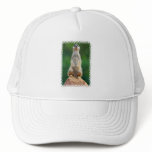 Meerkat Sentry  Baseball Hat