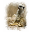 Meerkat Shirt