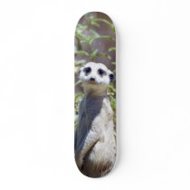 Meerkat Skateboard