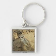 Meerkat Spy Key Chain