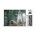 Meerkat Stamps by PhotoPixie Meerkat Stamps