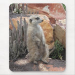 Meerkat Standing on Hind Legs Mouse Pad