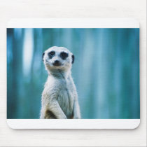 Meerkat Staredown mousepads