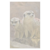 meerkat stationary stationery design