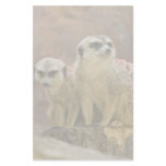 meerkat stationary stationery design