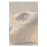Meerkat Customized Stationery