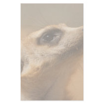 Meerkat stationery
