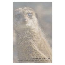 Meerkat Custom Stationery