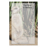 Meerkat Stationery
