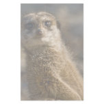 Meerkat Stationery Paper
