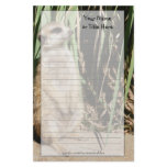 Meerkat Stationery