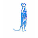 Meerkat T-Shirt by Lotacats Meerkat T-Shirt