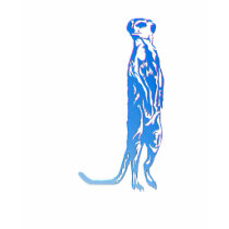 Meerkat T-Shirt by Lotacats Meerkat T-Shirt