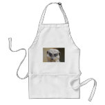 Meerkat Up Close aprons