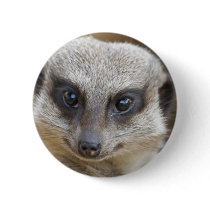 Meerkat Up Close Pinback Button