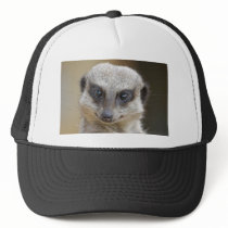 Meerkat Up Close Trucker Hats
