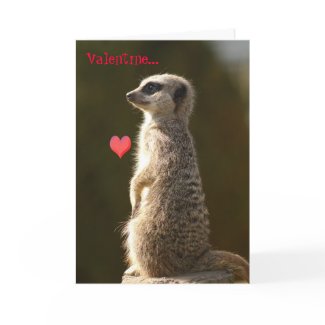 Meerkat Valentine Card 005 card