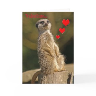 Meerkat Valentine Card 006 card