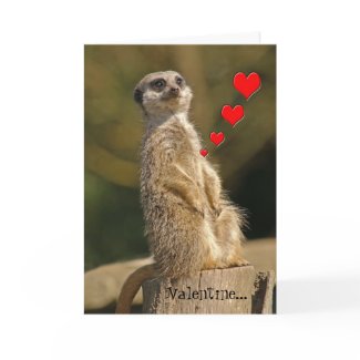 Meerkat Valentine Card 007 card
