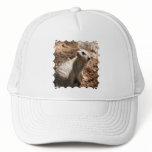 Meerkat with Dirty Face Baseball Hat