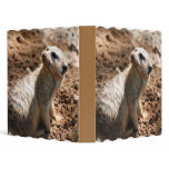 Meerkat with Dirty Face  Binder