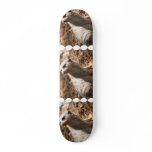 Meerkat with Dirty Face  Skateboard