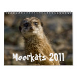 Meerkats 2011 Calendar style=border:0;