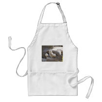 Meerkats Aprons