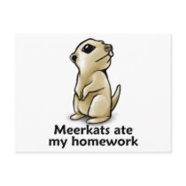 Meerkats ate my homework postcards