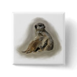 Meerkats Pinback Button