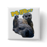Meerkats Pin
