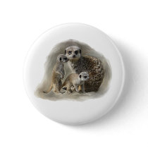 meerkats pins