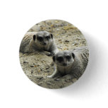 Meerkats Button