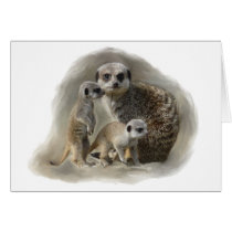 meerkats cards