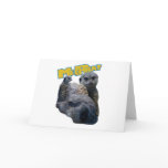 Meerkats cards