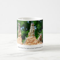 Meerkats....... mugs